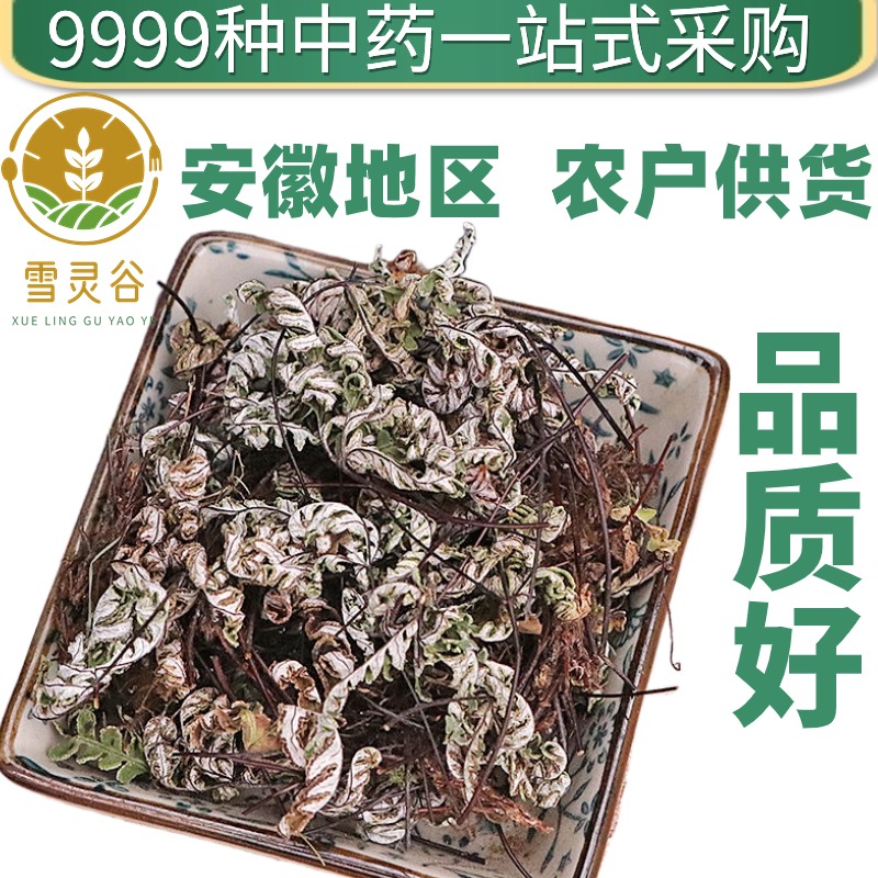 铜丝草500克岩飞草通经草中药材店铺药材大全中药粉 - 图0