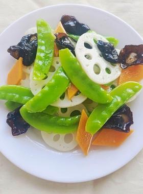 荷塘月色荷塘小炒仿真食品模型仿真假菜模型仿真食物道具拍摄道具