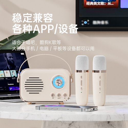 无线小型蓝牙音箱话筒K歌麦克风一体ktv复古音响迷你女生生日礼物 - 图1