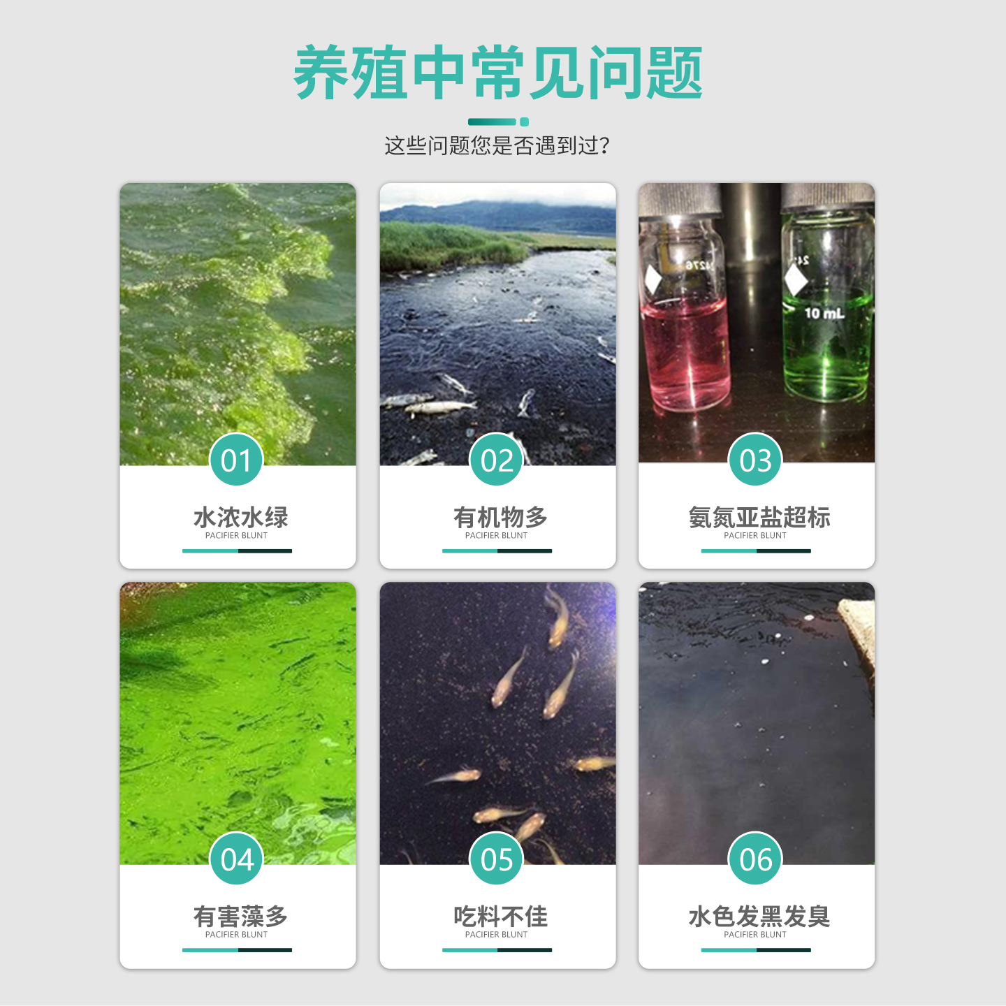 鱼耀水净爽复合枯草芽孢杆菌水浓水绿水产养殖专用调水净水em菌粉 - 图1