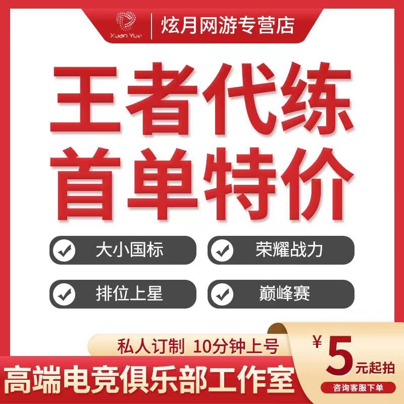 王者荣耀代练陪练工作室打大小国标省标巅峰战力百星小魔方国服 - 图2