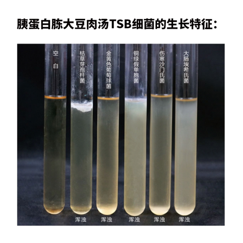 胰蛋白胨大豆肉汤/琼脂培养基TSB/TSA 胰酪大豆胨肉汤琼脂250g - 图2