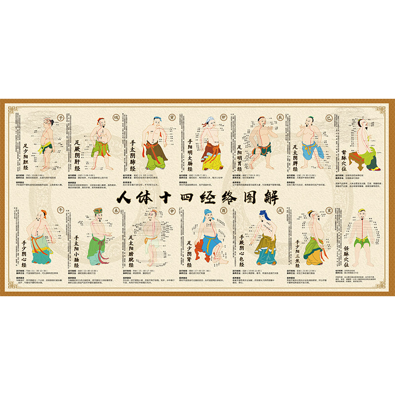 人体十四经络穴位图高清身体十二经络挂图中医养生馆装饰画壁纸hb,淘宝优惠券,粉丝福利购,淘宝优惠卷