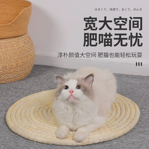 Кошачья гнездовая лоза Лето лето четыре сезона Common Claw Pucao Preparation Cool West Cat Cat Cat Gobbled Board Dog Nest Product