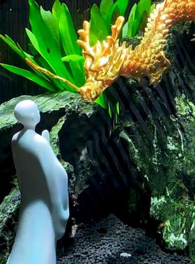 适合中国人体质的中国龙！