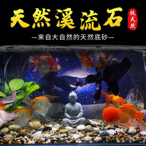 50斤天然鹅卵石溪流石鱼缸铺底造景砂水箱沼泽过滤小石子原生豆石 - 图1