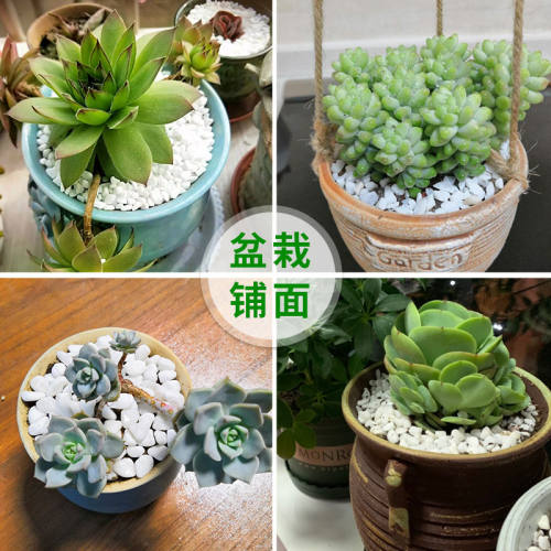天然白石子碎石头庭院鹅卵石铺地阳台装饰花园造景观砾石白色石子 - 图1