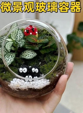 微景观生态瓶植物苔藓玻璃容器diy材料桌面透明圆形多肉水培花瓶