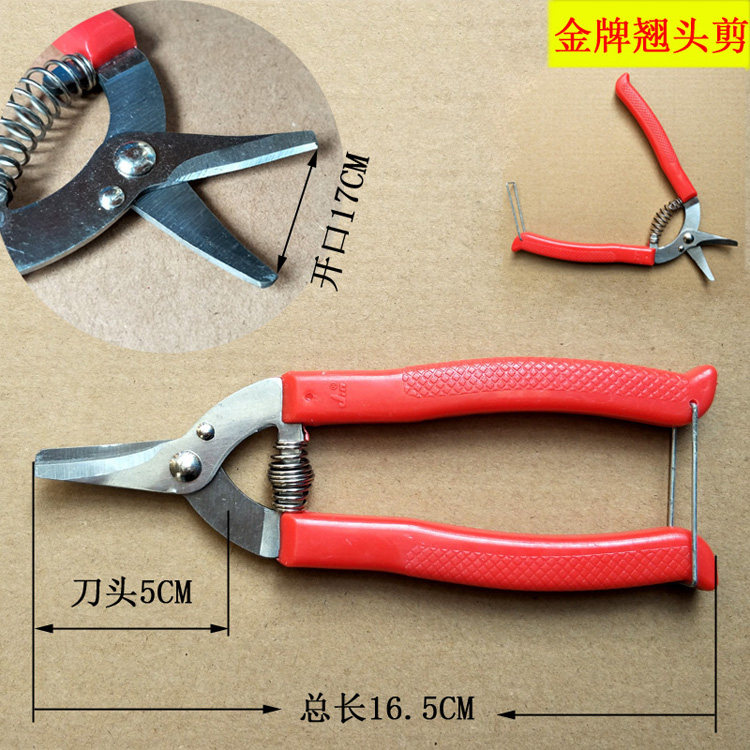 橘剪刀 剪钳 修果修枝桔子剪采摘剪 名钻农帮手不锈钢采果剪包邮,淘宝优惠券,粉丝福利购,淘宝优惠卷