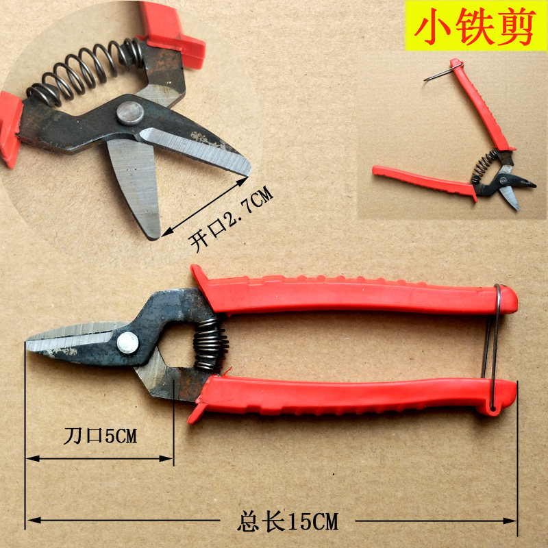 橘剪刀 剪钳 修果修枝桔子剪采摘剪 名钻农帮手不锈钢采果剪包邮,淘宝优惠券,粉丝福利购,淘宝优惠卷