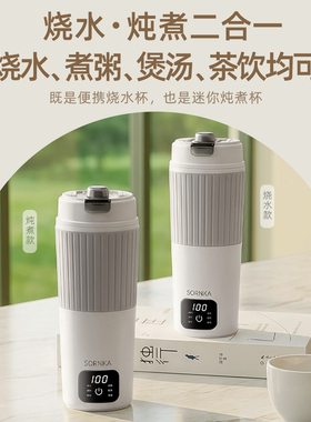 650mlType-C插电烧水316材质