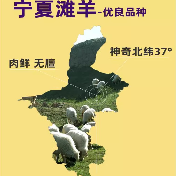 羊肉新鲜宁夏滩羊肉现杀滩羊盐羊排半只羊半羊非池新疆整只礼盒
