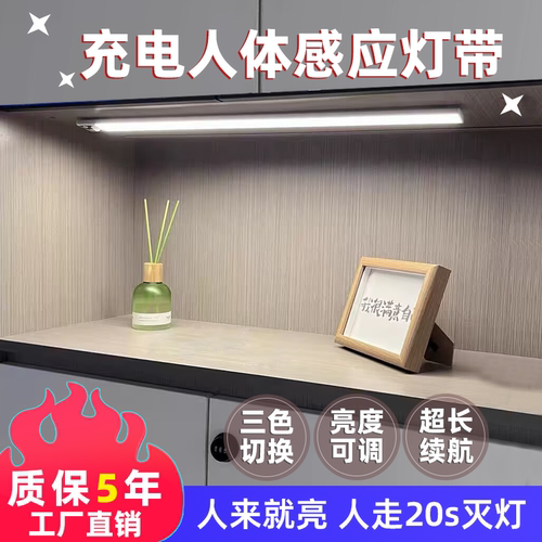 充电人体感应灯带无线自粘免插电衣柜玄关鞋柜厨房切菜照明灯条 - 图1