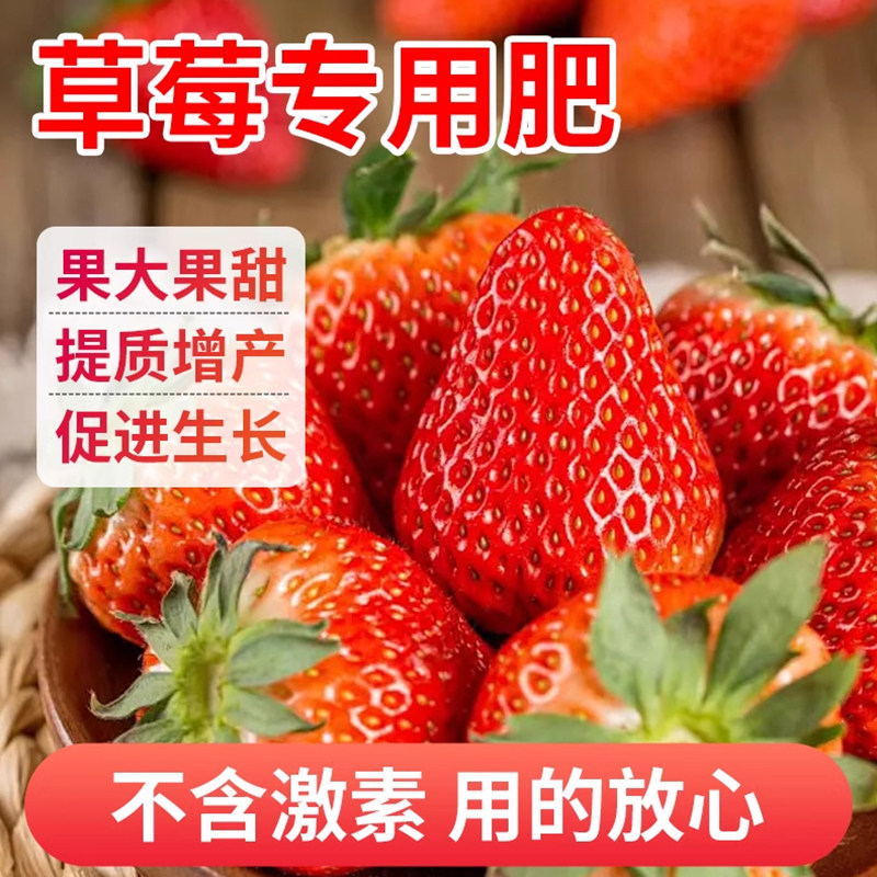 草莓肥料专用肥家用盆栽草莓苗有机肥料草莓营养液促生长结果肥料,淘宝优惠券,粉丝福利购,淘宝优惠卷