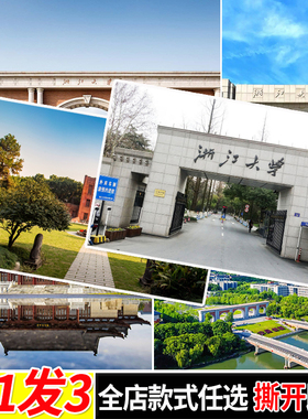 浙江大学海报浙大校园贴画学生励志自粘墙贴墙上贴纸房间寝室壁纸