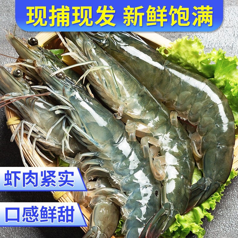 The extra-large Qingdao prawns are fresh and have many repeat customers.