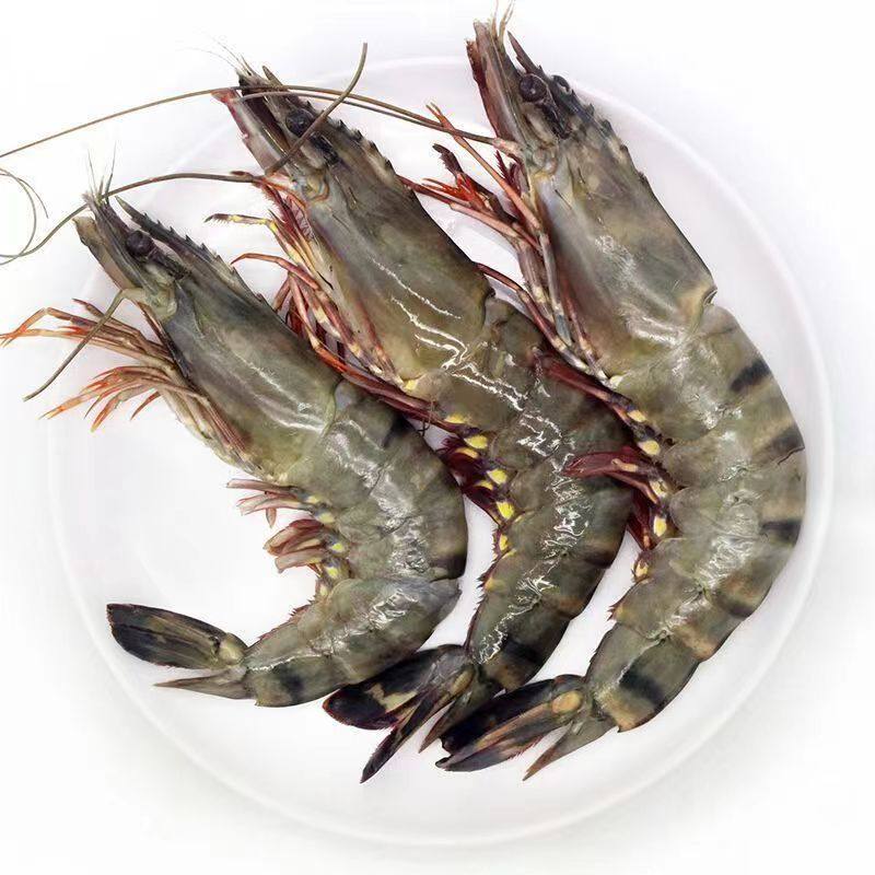 Black tiger shrimp, fresh, large, quick-frozen tiger shrimp