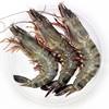 Black tiger shrimp, fresh, large, quick-frozen tiger shrimp