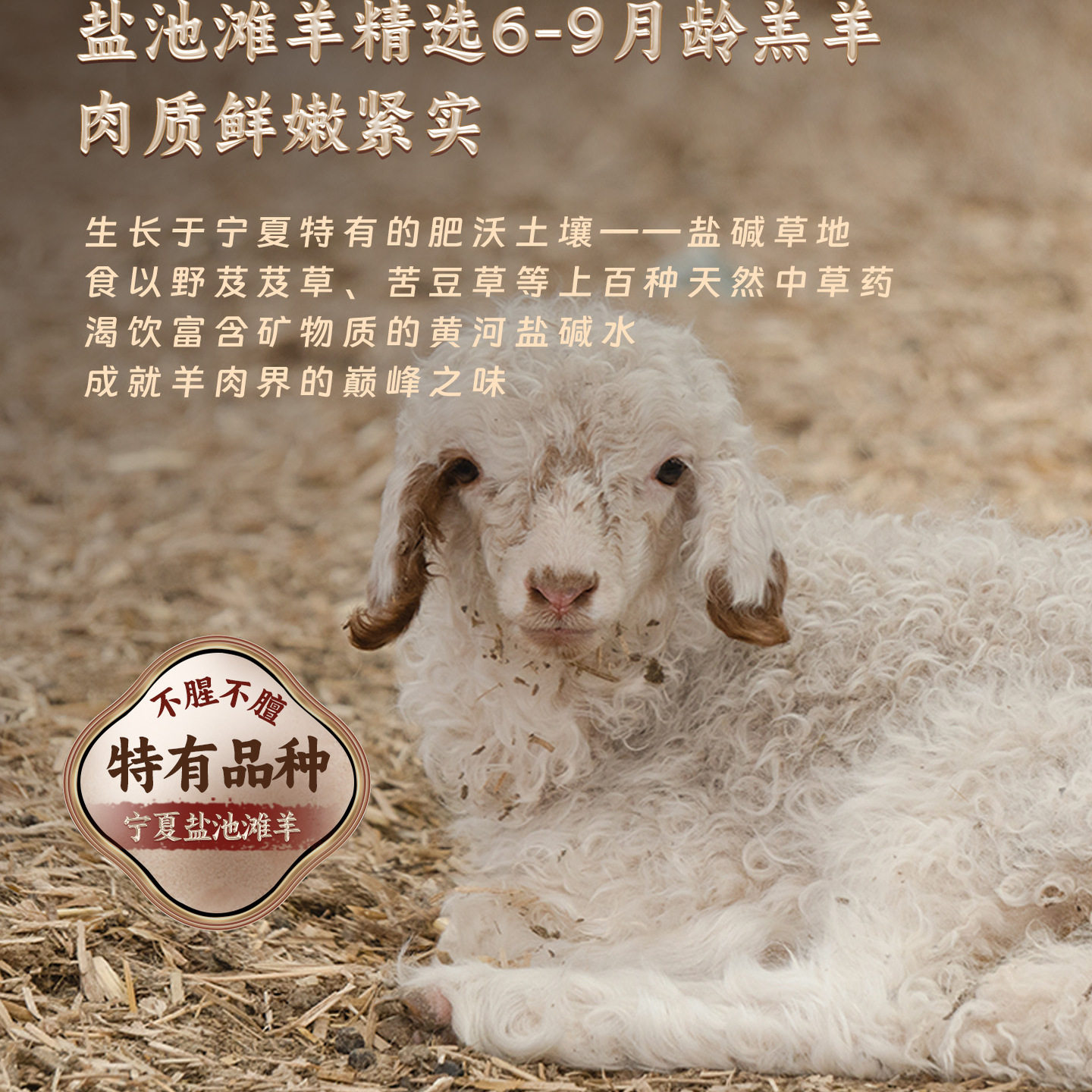 西鲜记正宗宁夏盐池滩羊新鲜羔羊肉羊腿肉羊排肉 手抓羊肉1.5kg,淘宝优惠券,粉丝福利购,淘宝优惠卷