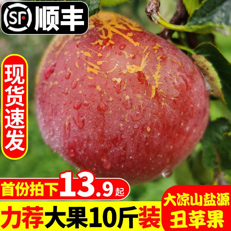 整箱应季大果当季丑苹果冰糖心四川大凉山丑苹果顺丰水果盐源正宗