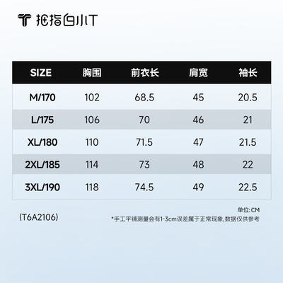 白小T休闲百搭冰玉凉感短袖