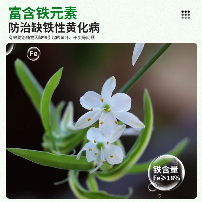 硫酸亚铁花肥料水溶肥栀子花茶花杜鹃桂花营养专用肥家用盆栽通用 - 图1