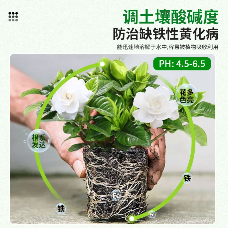 硫酸亚铁花肥料水溶肥栀子花茶花杜鹃桂花营养专用肥家用盆栽通用 - 图3