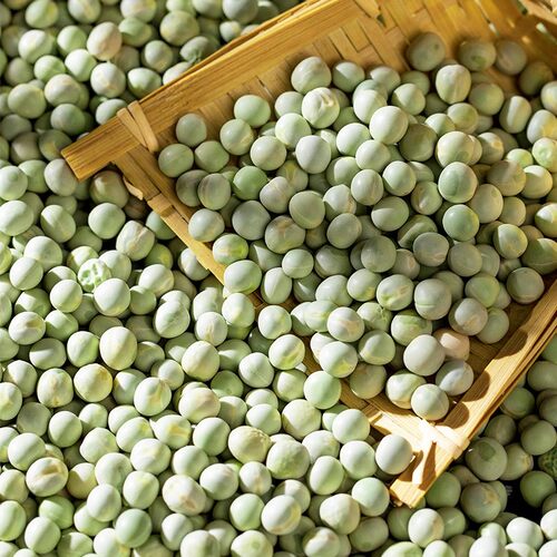 今年新货青干豌豆干货生豌豆青豌豆杂粮粗粮麦豆无虫可发芽5斤装 - 图1