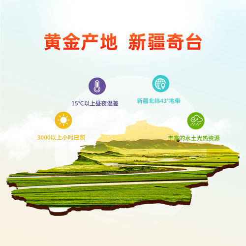 江布拉克面粉5斤雪花粉2.5kg筋道新疆奇台面粉包子饺子馒头 - 图2