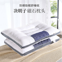 Semen Cassiae Pillow Care Cervical Spine Sleep Pillow Core Male Buckwheat Leather Dorm Room Students Double Domestic Summer Sleep