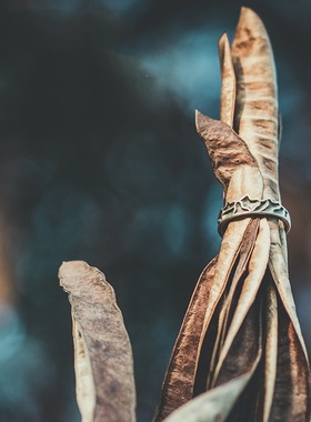 国风潮铜镀银手工饰品