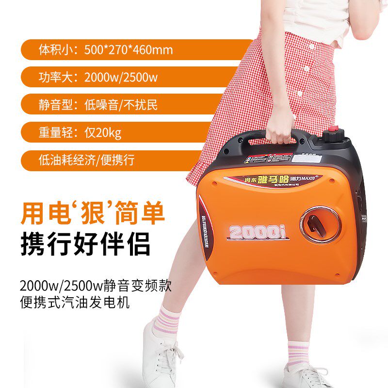 南狄王汽油发电机