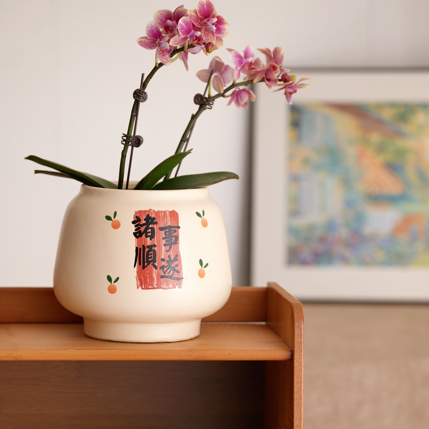 花盆陶瓷简约新款喜气风节日治愈美学客厅桌面蝴蝶兰文心兰送托盘,淘宝优惠券,粉丝福利购,淘宝优惠卷