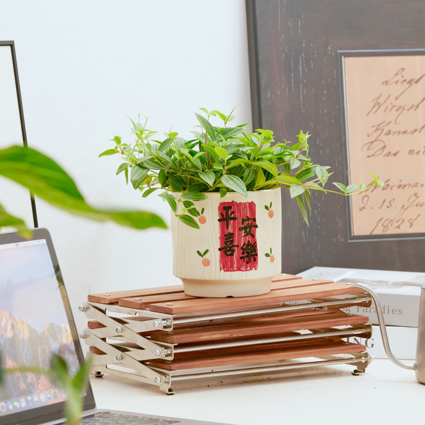 简约花盆陶瓷喜庆节日家用桌面客厅蝴蝶兰发财树杜鹃盆栽带托盘,淘宝优惠券,粉丝福利购,淘宝优惠卷