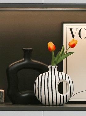 陶瓷花瓶摆件轻奢高级感客厅插花