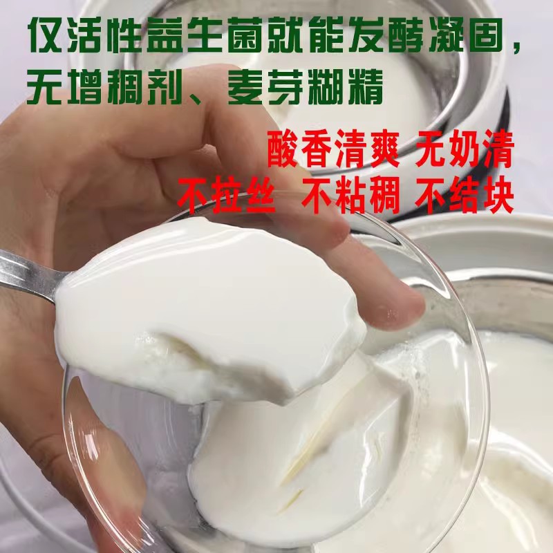 希腊酸奶发酵菌保加利亚乳杆菌儿童双歧杆菌开菲尔kefir酸奶菌粉-图2