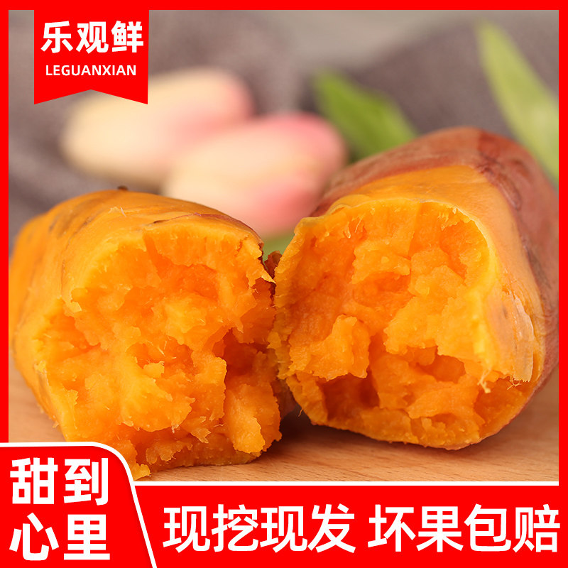 新鲜沙地板栗带箱5斤蜜薯糖心地瓜 乐观鲜番薯