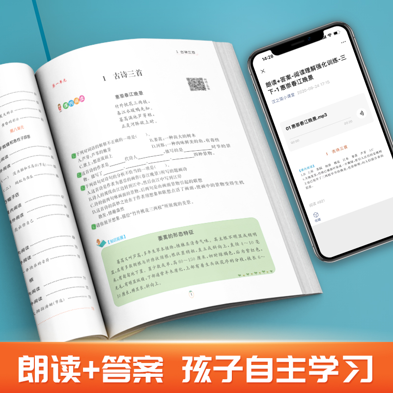 阅读理解专项训练书一二三四五六年级上下册语文课外阅读理解同步专项强化训练题人教版小学语文阅读真题80篇专项天天练
