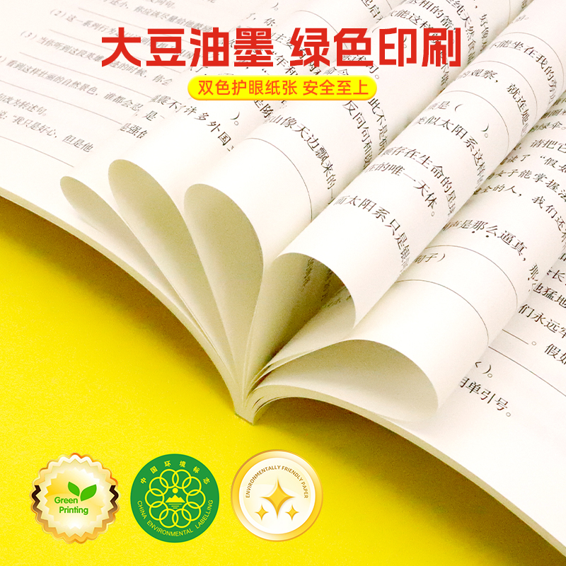 小升初 语文基础知识大通关 小学语文总复习 3~6年级语文专项训练 通关练习 预备新初中 元远教育 同济大学出版社