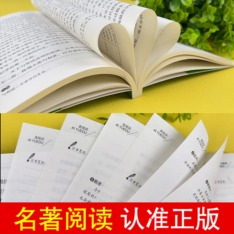 看看我们的地球(无障碍精读版)/四年级下册 快乐读书吧 阅读书目/爱阅读课程化丛书小学四年级课外阅读书籍小学生儿童文学