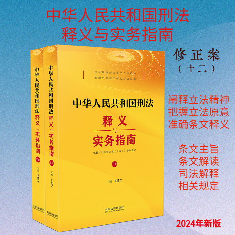 中华人民共和国刑法释义与实务指南 王爱立 刑法修正案（十二）阐释刑法条文立法精神解读条文 中国法制出版社9787521642278 - 图0