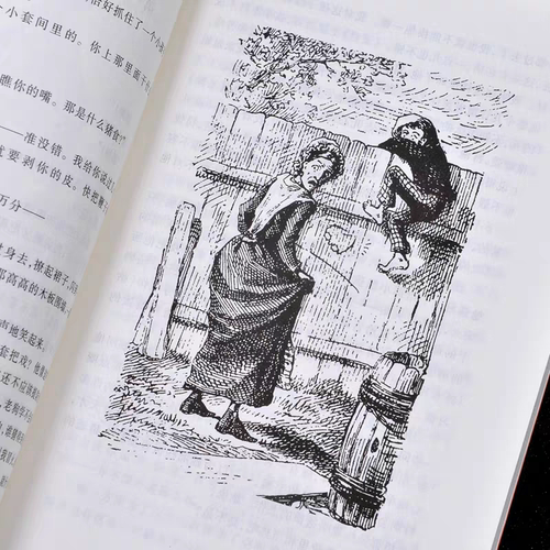 【新华书店旗舰店官网】汤姆索亚历险记 人民文学出版社马克.吐温著 中文版全译本六年级小学生青少版课外读物世界名著书 - 图2