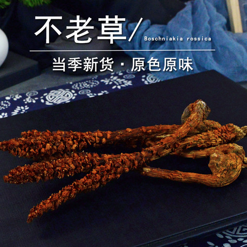 不老草中药材小药仙正品种植非野生长白山不老草粉草苁蓉干独根草 - 图3