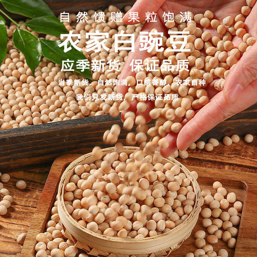 东北新货干豌豆生豌豆白豌豆大粒黄碗豆粒干炒豌豆长赤豆豆芽专用 - 图1