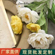 Simulation Flower Beauty Beauty Photo Props Photography Decoration Pendulum Beat Ornament Gourmet Food Web Red Ins Swing Piece Shooting Background