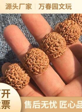 2026源头包邮【新品特卖】尼泊尔大金刚菩提手串五5瓣20爆肉双龙