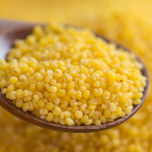 歪妈知味山东小米沂蒙山小米粥新米吃的小黄米特产糯香 500g - 图2