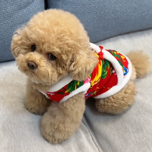 Кролик, демисезонный флисовый удерживающий тепло милый праздничнный пуховик