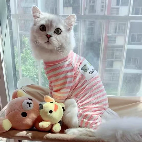 Кошачья одежда Весна и осень, анти -терамы, пижама -куклы, короткий котенок котенка, собака собака ПЭТ -четырех