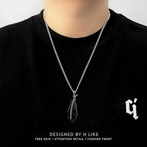 立体黑色羽毛项链吊坠饰品钛钢个性蛇骨短款卫衣链男女气质风配饰 - 图0